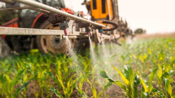 Best Wildlife Control Services  in Buffalo Grove, IL