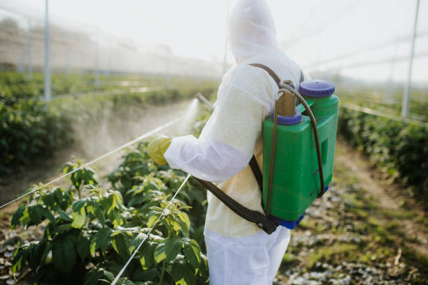 Best Affordable Pest Control Services  in Buffalo Grove, IL